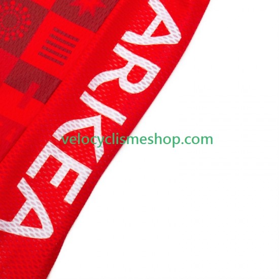 Maillot Cyclisme Arkea Bb Hotels Excalibur 2024 Hommes