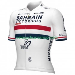 Maillot Cyclisme Team Bahrain Victorious 2024 Hommes N001