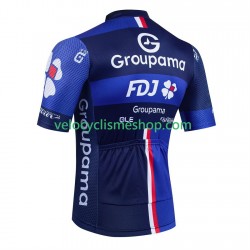 Maillot Cyclisme equipe pro groupama fdj 2025 Hommes
