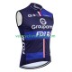 Gilet Cycliste groupama fdj 2025 Hommes