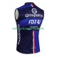Gilet Cycliste groupama fdj 2025 Hommes