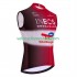 Gilet Cycliste ineos totalenergies tour de france 2025 Hommes