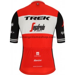 Maillot Cyclisme 2019 Trek-Segafredo M001