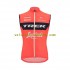 Gilet Cycliste 2022 Trek-Segafredo Hommes N005